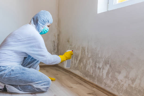 Licensed Commercial Mold Remediation service in Phoenix, OR - WQB Mold Removal