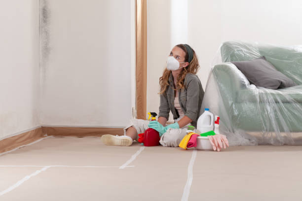 Reliable Commercial Mold Remediation contractor in Phoenix, OR by WQB Mold Removal